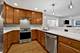 930 W Agatite Unit G, Chicago, IL 60640