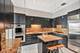 910 S Michigan Unit 2006, Chicago, IL 60605