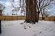 678 Douglas, Calumet City, IL 60409