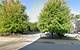 1620 Sheridan, North Chicago, IL 60064