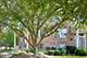 2478 Anna Unit 2478, Elgin, IL 60124