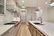 1910 W Fletcher, Chicago, IL 60657