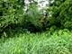 15450 W Purley, Homer Glen, IL 60491
