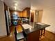1221 N Dearborn Unit 804S, Chicago, IL 60610