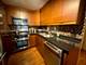 1221 N Dearborn Unit 804S, Chicago, IL 60610