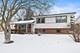 925 S Chestnut, Arlington Heights, IL 60005