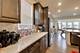 16155 S Lake View, Plainfield, IL 60586