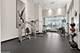 474 N Lake Shore Unit 1708, Chicago, IL 60611