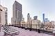 1100 N Dearborn Unit 1115, Chicago, IL 60610