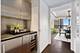 180 E Pearson Unit 4801, Chicago, IL 60611