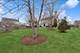 1709 Belcourt, Elgin, IL 60120