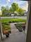 1709 Belcourt, Elgin, IL 60120