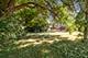 14119 Lincoln, Dolton, IL 60419