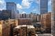 227 E Walton Unit 8E, Chicago, IL 60611