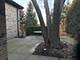 7700 Apple Tree, Willowbrook, IL 60527