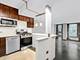 230 E Ontario Unit 1204, Chicago, IL 60611