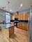 1151 E 46th, Chicago, IL 60653