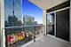 1250 S Michigan Unit 1708, Chicago, IL 60605