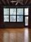1601 S Indiana Unit 207, Chicago, IL 60616
