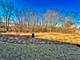 30W024 Brayman, Warrenville, IL 60563