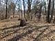 0000 Newbold, Cary, IL 60013