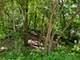 Lots 8 & 9 Ravine, Spring Grove, IL 60081