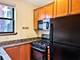 842 Wesley Unit 1, Oak Park, IL 60304