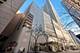 110 E Delaware Unit 1702, Chicago, IL 60611
