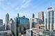 600 N Fairbanks Unit 2805, Chicago, IL 60611
