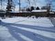 14914 Edbrooke, Dolton, IL 60419