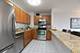 33 E Cedar Unit 15F, Chicago, IL 60611