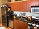 212 E Cullerton Unit 1010, Chicago, IL 60616