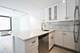 1221 N Dearborn Unit 1406S, Chicago, IL 60610