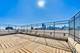70 W Burton Unit 1508, Chicago, IL 60610