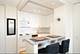 70 W Burton Unit 1508, Chicago, IL 60610