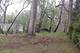 27 Oyster, Lakemoor, IL 60051