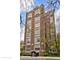 20 E Cedar Unit 4D, Chicago, IL 60611