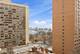 3033 N Sheridan Unit 1201, Chicago, IL 60657