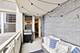 4250 N Marine Unit 1707, Chicago, IL 60613