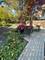 325 N Oak Park Unit B, Oak Park, IL 60302
