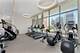 4 E Elm Unit 12S, Chicago, IL 60611