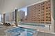 4 E Elm Unit 12S, Chicago, IL 60611