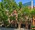 2035 N Orleans Unit M2, Chicago, IL 60614