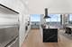1000 N Lake Shore Unit 49A, Chicago, IL 60611