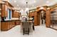 147 Los Lagos, Bloomingdale, IL 60108