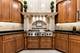 147 Los Lagos, Bloomingdale, IL 60108