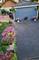 1333 Willow, Des Plaines, IL 60016