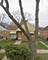 411 50th, Bellwood, IL 60104