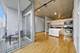 1720 S Michigan Unit 405, Chicago, IL 60616