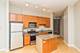 1600 S Indiana Unit 1503, Chicago, IL 60616